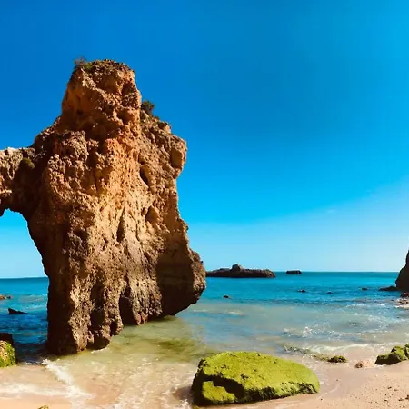 Апартаменты Luxury Seaview