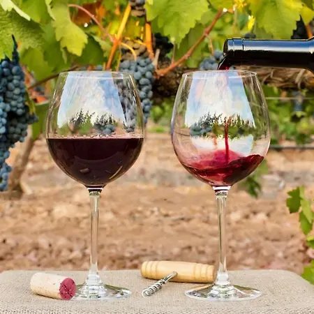 Апартаменты Luxury Seaview *